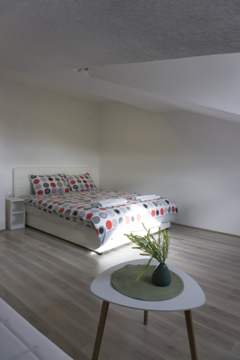 APARTMANI IVKOVIĆ_48